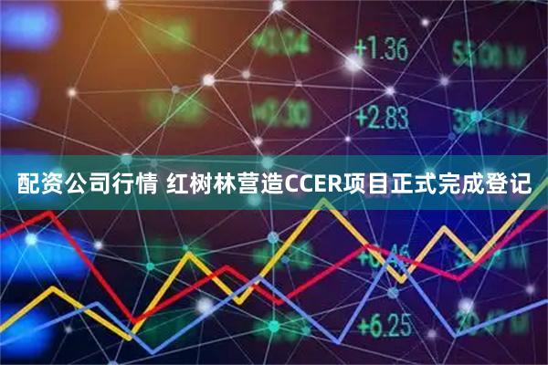 配资公司行情 红树林营造CCER项目正式完成登记